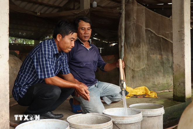 ttxvn-can-tho-nguoi-dan-gan-bien-khat-nuoc-ngot-3.jpg
