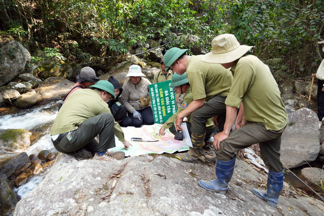 pha-rung-lam-dong-2.jpg