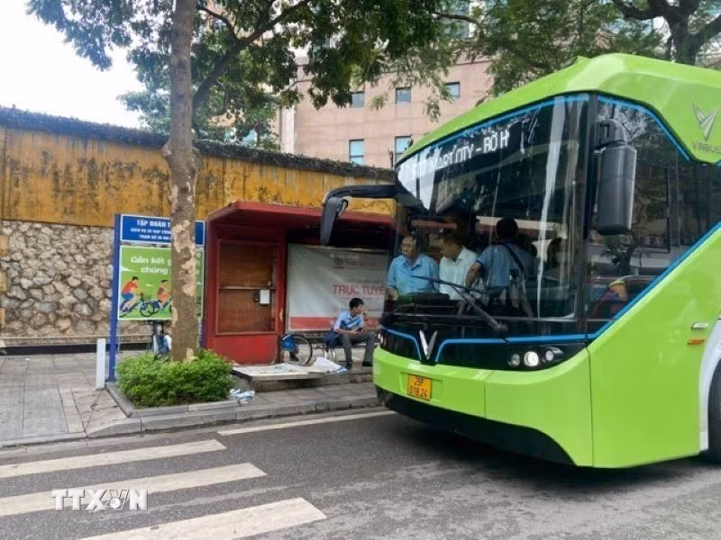 (Ảnh: Nguyễn Văn Cảnh/TTXVN)