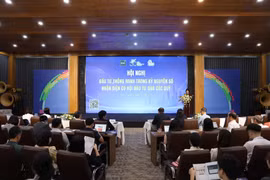 (Ảnh: Vietnam+)