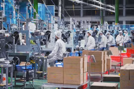 Tốc độ tăng trưởng GDP năm 2024 đạt 7,09% đã vượt mục tiêu đề ra đồng thời khẳng định vị thế của quốc gia trên bản đồ kinh tế thế giới. (Ảnh: Vietnam+)