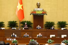  Phó Chủ tịch Quốc hội Nguyễn Thị Hồng phát biểu. (Ảnh: Doãn Tấn/TTXVN)