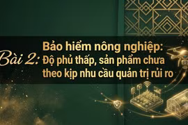 Thực trạng bảo hiểm nông nghiệp tại Việt Nam, những rào cản và hướng đi nhằm mở rộng thị trường và nâng cao hiệu quả bảo vệ nông dân. (Ảnh: AI)