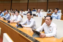 Người được tuyển dụng vào vị trí việc làm sẽ được xếp vào ngạch tương ứng nếu có năng lực, miễn là đáp ứng được các yêu cầu của vị trí đó. (Ảnh: QH/Vietnam+)