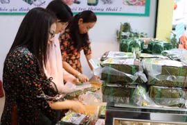Chính sách giảm thuế 30% từ 2026 hỗ trợ doanh nghiệp nhỏ, cá nhân kỳ vọng sẽ đẩy mạnh phát triển kinh tế. (Ảnh: Vietnam+)