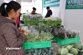 Chính sách giảm thuế 30% hỗ trợ hộ kinh doanh năm 2026–2027. (Ảnh: TTXVN)
