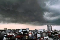 Việt Nam giảm mạnh nhập khẩu các chất gây suy giảm tầng ozone. (Ảnh minh họa. Nguồn: TTXVN)