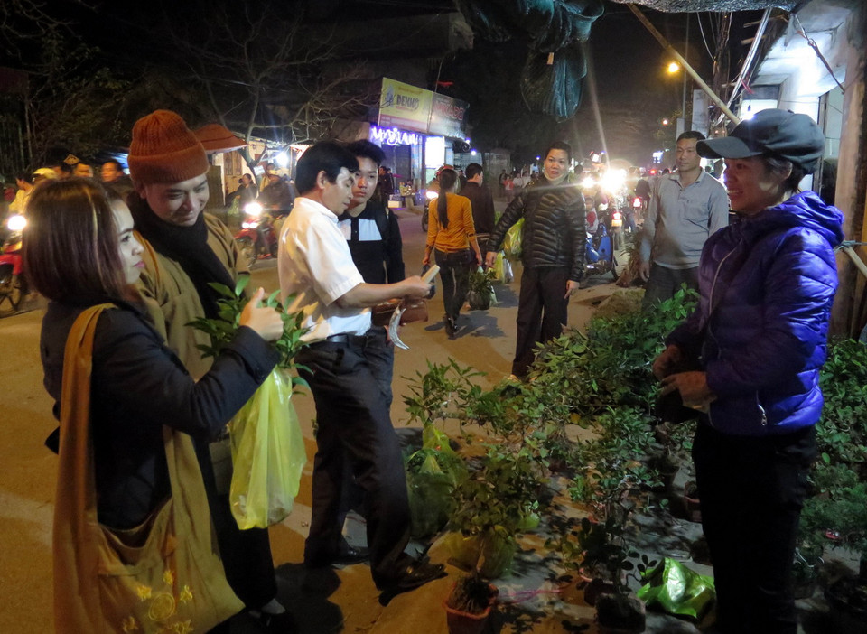 Người dân chọn mua cây cảnh tại chợ Viềng Xuân 2016. (Ảnh: TTXVN)