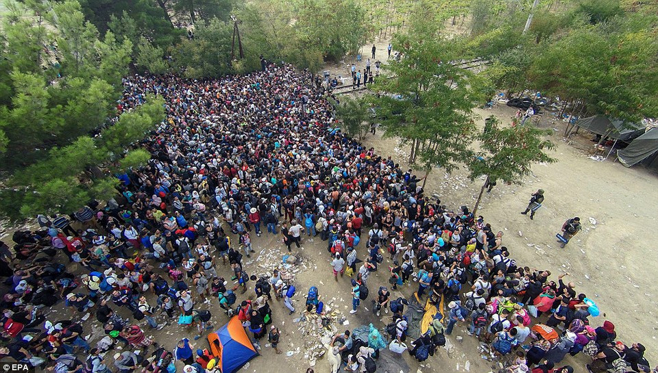 Những tuần gần đây, mỗi ngày có tới 1.500-2.000 người di cư từ Hy Lạp tràn qua biên giới Macedonia. (EPA)