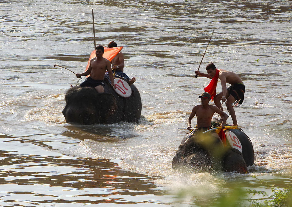Hội thi voi vượt sông Sêrêpốk. (Ảnh: Dương Giang/TTXVN)
