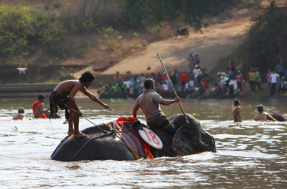 Hội thi voi vượt sông Sêrêpốk. (Ảnh: Dương Giang/TTXVN)