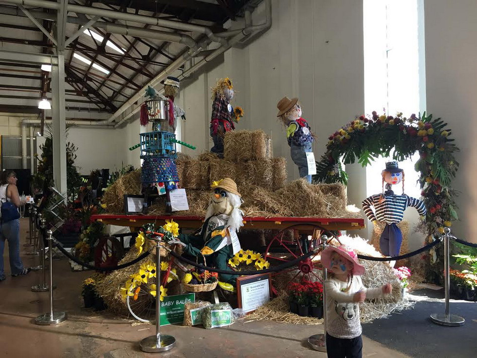 (Ảnh: Khánh Linh/Vietnam+)