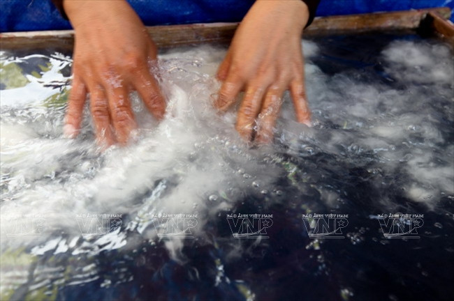 Khuấy đều bột dâu tằm trên rây khi sản xuất giấy saa thủ công.