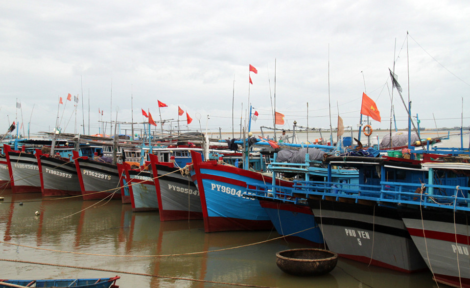 Tàu thuyền ngư dân neo đậu an toàn. (Ảnh: Thế Lập)