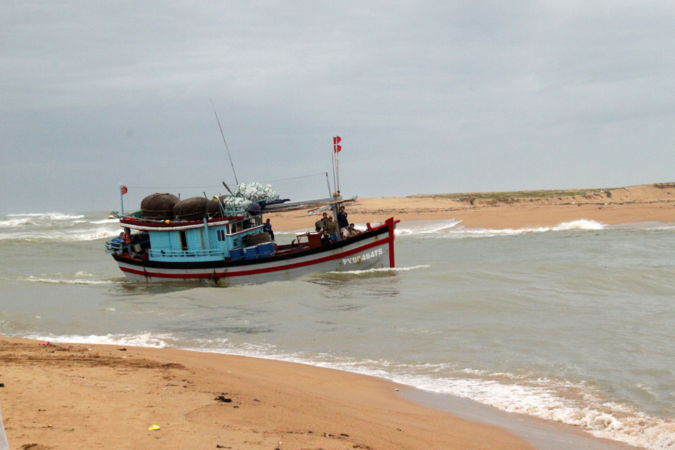  Một tàu câu cá ngừ đại dương đang về đến cửa biển Đà Rằng sáng nay 29/11. (Ảnh: Thế Lập)