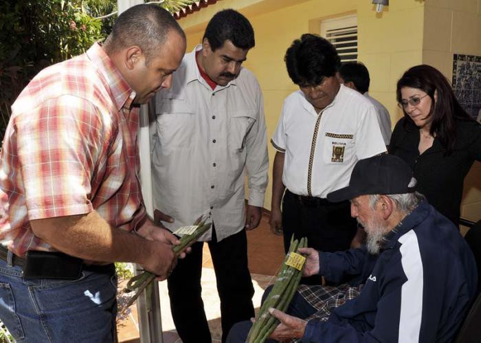Lãnh tụ Cuba Fidel Castro trò chuyện thân mật cùng những "người bạn" đến từ Venezuela và Bolivia. (Nguồn: granma.cu)