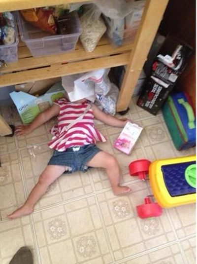 Chỗ ngủ trưa lý tưởng. (Nguồn: Twitter)