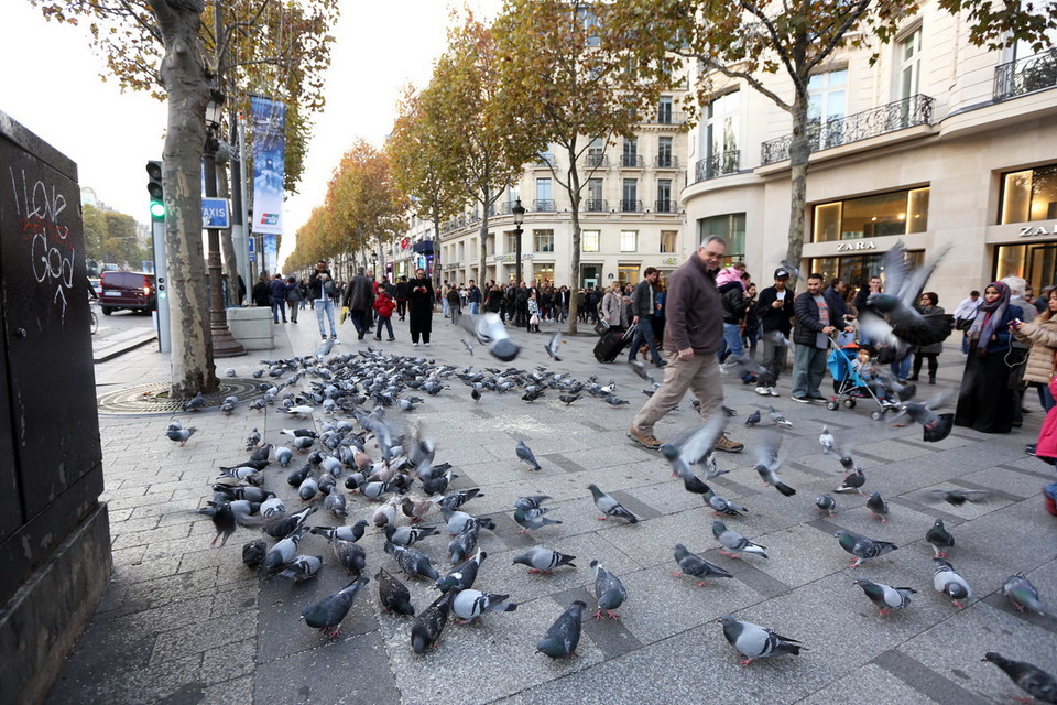 Đại lộ Champs Élyées dài 2km, nối liền Quảng trường Concorde và Étoile, nơi tổ chức các sự kiện hay lễ hội quan trọng nhất ở Paris. (Ảnh: Huy Hùng)