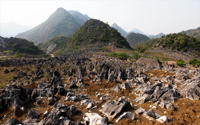 Một góc cao nguyên đá Tủa Chùa nhìn từ trên cao. (Nguồn: Báo ảnh Việt Nam)