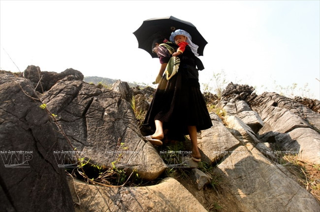 Cao nguyên đá Tủa Chùa là nơi có 100% là đồng bào dân tộc Mông sinh sống. (Nguồn: Báo ảnh Việt Nam)