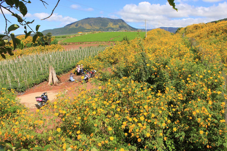 (Ảnh: Phạm Kha/TTXVN)