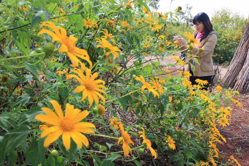 (Ảnh: Phạm Kha/TTXVN)