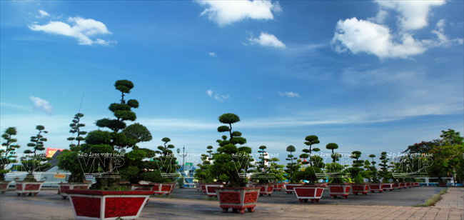 Công viên Bạch Đằng được tôn tạo và xây dựng thêm nhiều công trình cảnh quan, nhiều dịch vụ tiện ích để phục người dân và du khách. (Ảnh: Nguyễn Luân)