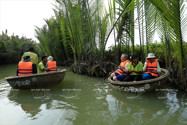 Du khách nước ngoài khám phá rừng dừa nước Cẩm Thanh...(Ảnh: Thông Thiện)