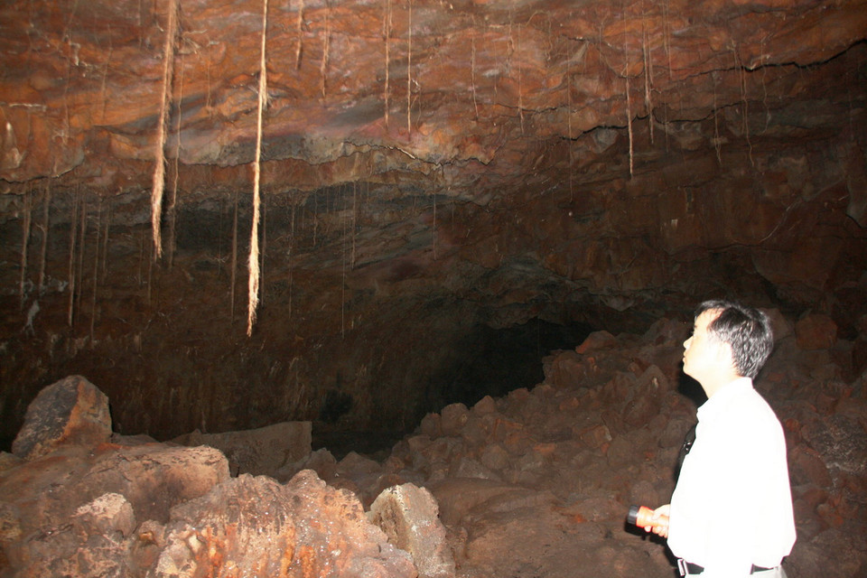 Rễ cây rừng xuyên qua lớp đá trầm tích vào trong hang. (Ảnh: Văn Ngoạn/TTXVN)