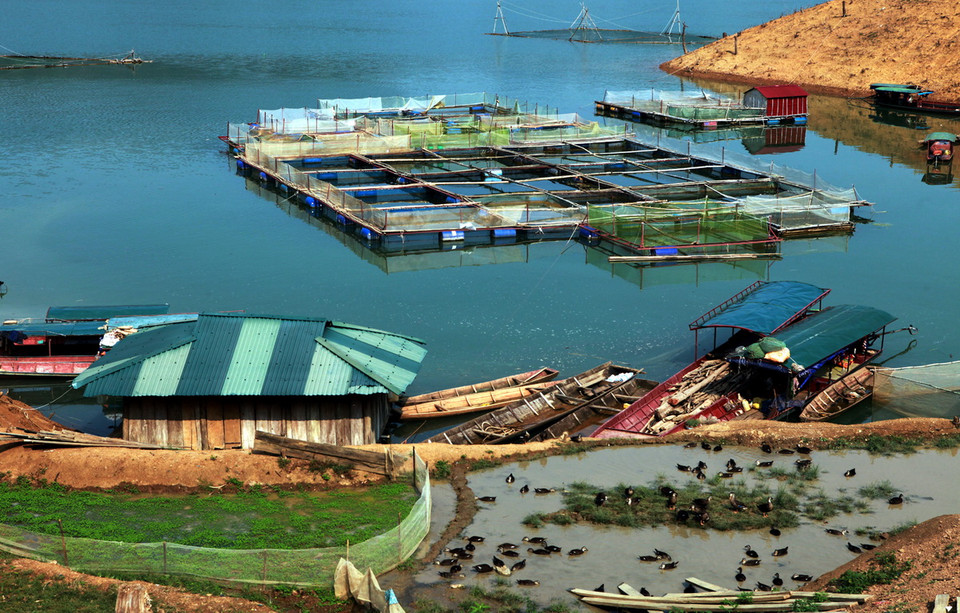 Hồ thủy điện Sơn La được bố trí hình lòng máng, xung quanh bao bọc bởi các dãy núi đá cao với hàng nghìn hécta thảm thực vật và rừng, đáy hồ sâu, có nơi tới hơn trăm mét. (Ảnh: Điêu Chính Tới/TTXVN)