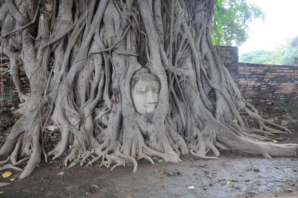 Qua thời gian, quần thể phế tích vẫn trơ gan cùng tuế nguyệt, gợi luyến tiếc với bất kỳ ai dù chỉ một lần đến đây về thời vàng son đã qua. (Ảnh: Sơn Nam-Quang Thuận/Vietnam+)