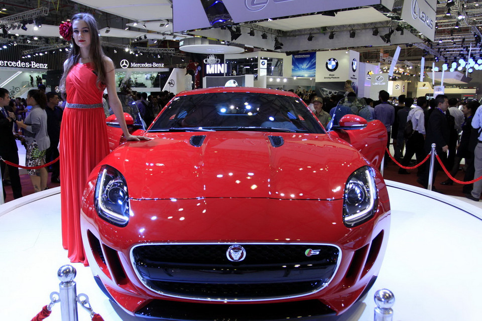 (Ảnh: Thế Anh/TTXVN)