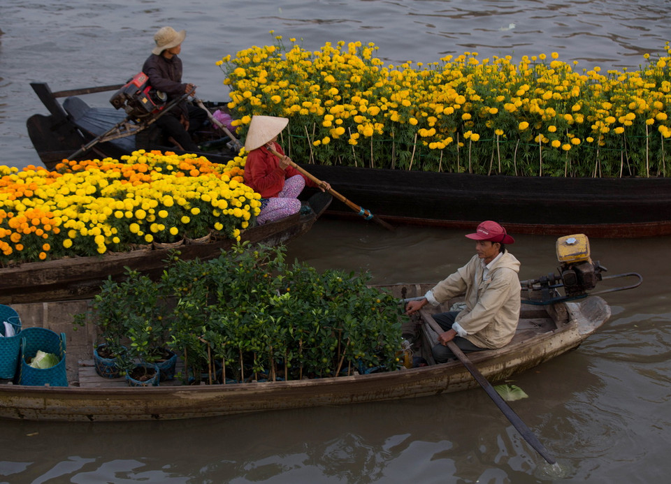 Ghe xuồng theo con nước dập dềnh, cả một khúc sông như đang trải dài hương sắc của mùa Xuân. (Ảnh: Duy Khương/TTXVN)