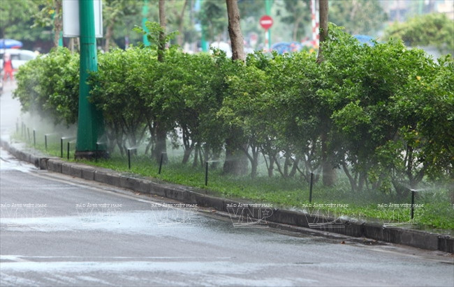 Hệ thống tưới nước tự động cho cây xanh hai bờ kênh. (Ảnh: Nguyễn Luân)