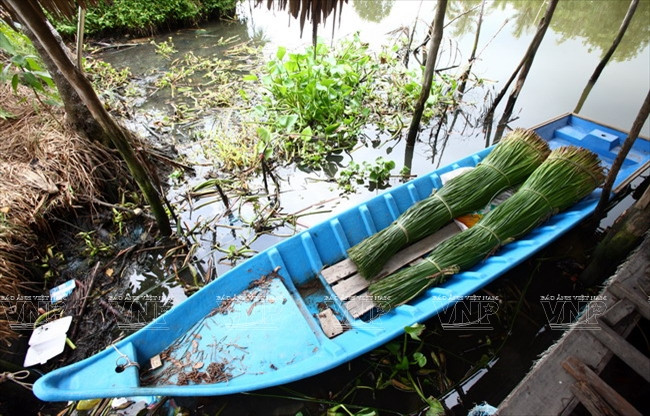 Cây lác được vận chuyển về Ngan Dừa từ khắp các nơi trong vùng.