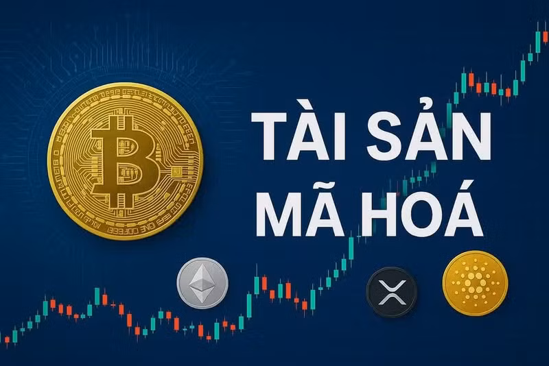 Tài sản mã hóa: Nhận diện các hành vi vi phạm và giải pháp an toàn thị