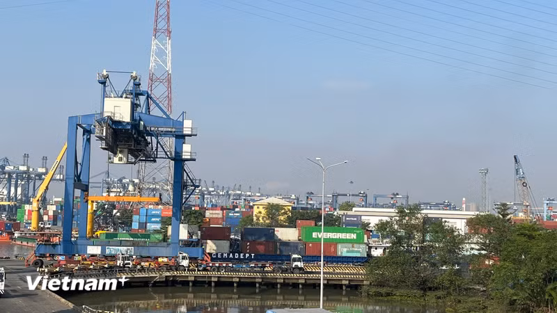 Nâng tầm thương hiệu Việt và bảo vệ tài sản trí tuệ trong kỷ nguyên số