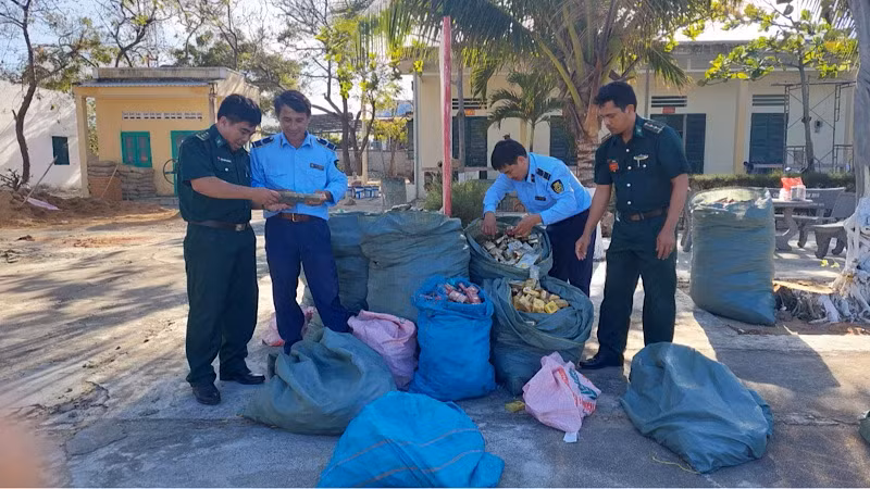 Siết chặt quản lý, không tạo thêm khoảng trống cho thuốc lá lậu "mở rộng"