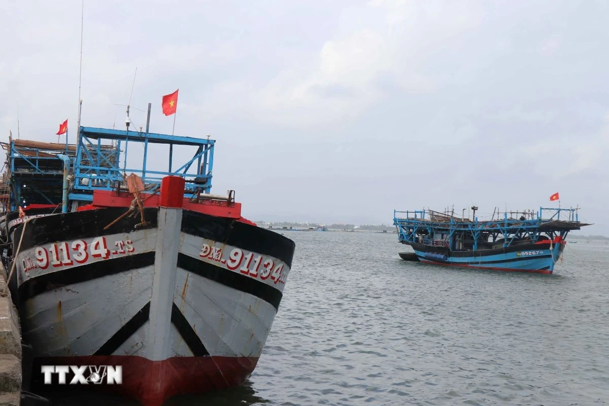 Đà Nẵng tái cơ cấu đội tàu thuyền, giảm phương tiện khai thác ven bờ