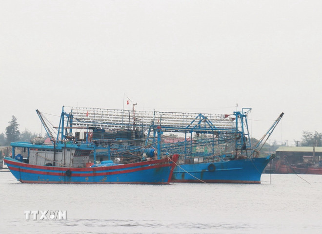ttxvn-bao-so-1-tranh-bao.jpg