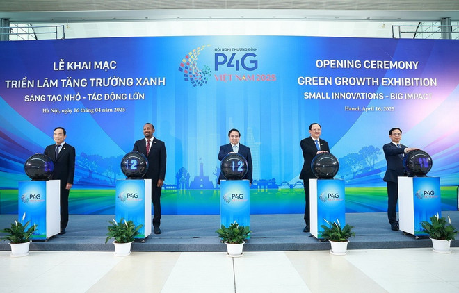 p4g-2.jpg