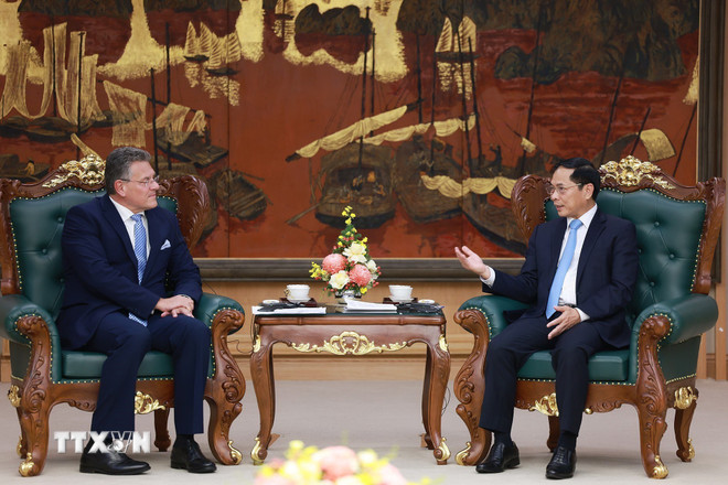 Phó Thủ tướng Bùi Thanh Sơn tiếp Cao ủy Thương mại và An ninh kinh tế Liên minh châu Âu (EU), Maros Sefcovic. (Ảnh: Dương Giang/TTXVN) ttxvn-pho-thu-tuong-eu-2.jpg