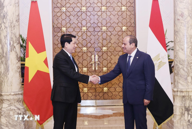 ttxvn-chu-tich-nuoc-tham-ai-cap-6.jpg