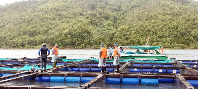 bao-so-3-quang-ninh-1.jpg