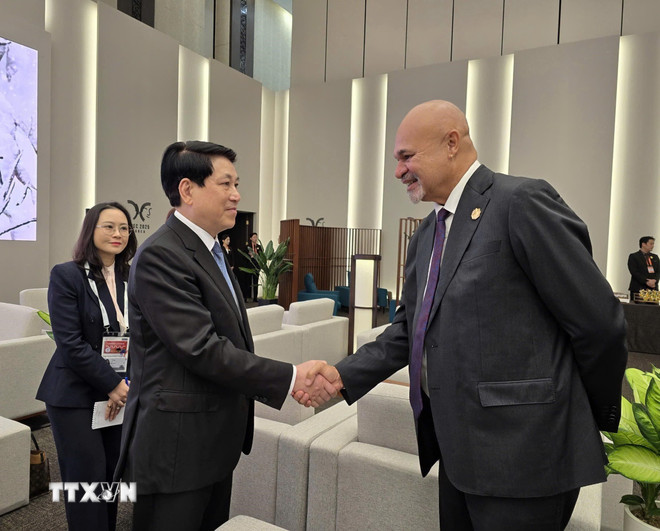 루옹 끄엉 대통령은 존 로소 부총리 겸 파푸아뉴기니 대표단 단장을 만났습니다. (사진: VNA) ttxvn-chu-tich-nuoc-gap-lanh-dao-cac-nen-kinh-te-apec-3.jpg