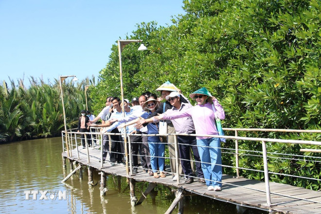 Du khách tham quan trải nghiệm rừng đước tại các xã biển thuộc Cù lao An Hóa, tỉnh Vĩnh Long. (Ảnh: Chương Đài/TTXVN) ttxvn-du-lich-vinh-long-2.jpg