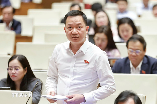 ドンナイ省国会議員チン・スアン・アン氏が演説する。(写真:ドアン・タン/VNA) ttxvn-hop-quoc-hoi-2.jpg