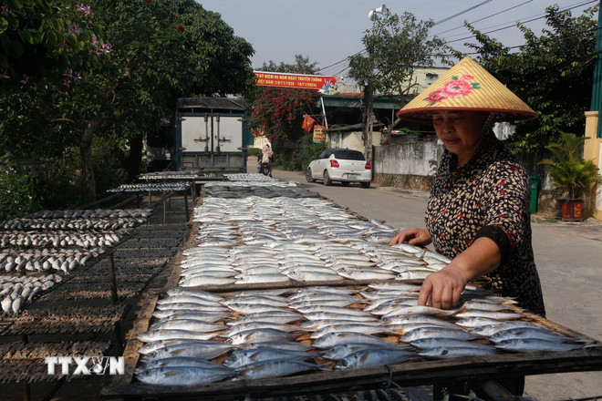 ttxvn-ca-nuong-nghe-an-3.jpg