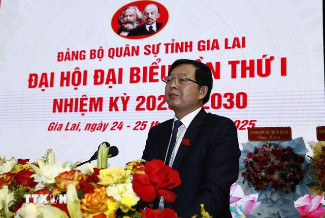 ttxvn-bi-thu-gia-lai-1.jpg