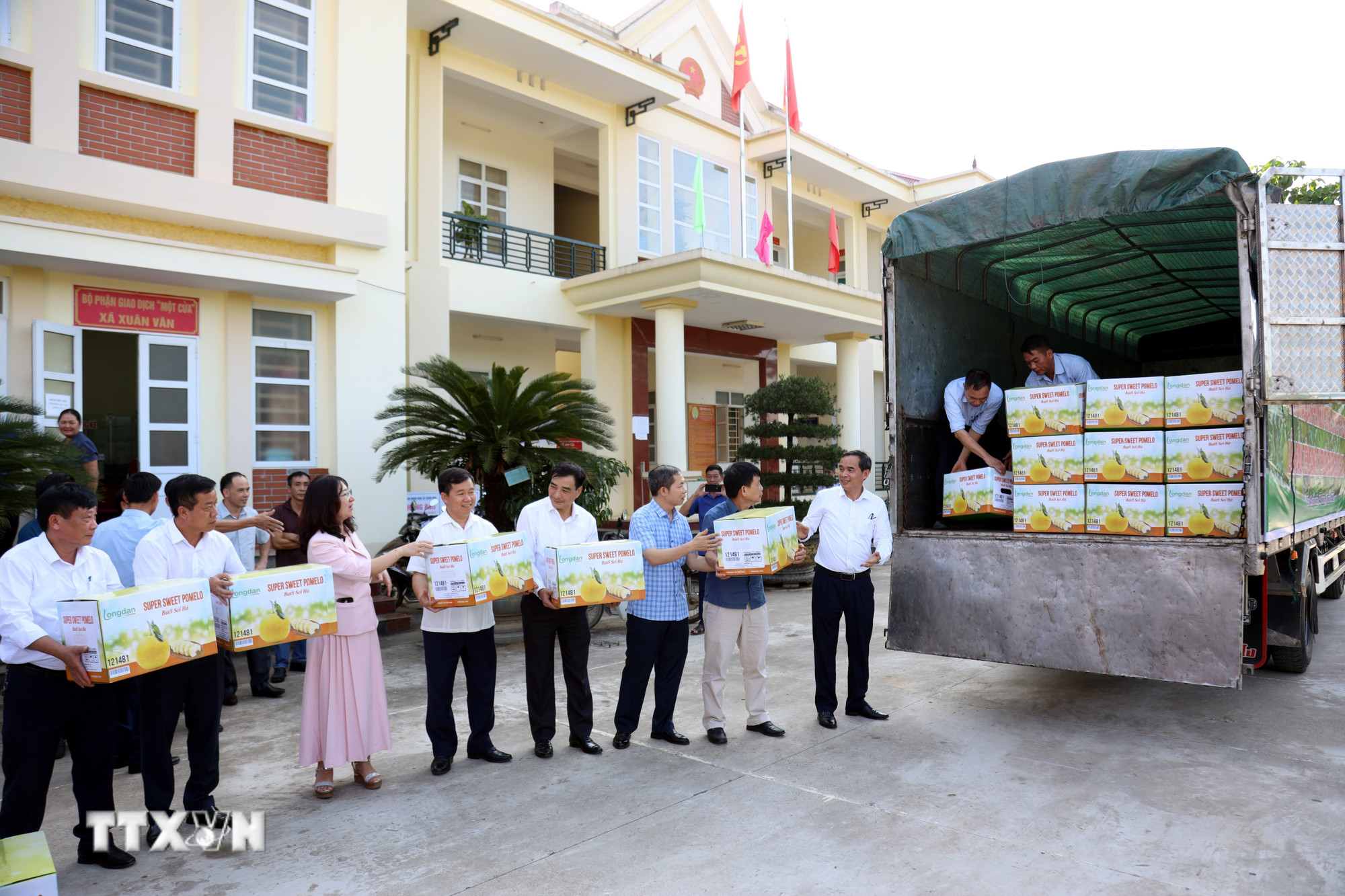 Báo chí ghi lại những hình ảnh Bưởi Soi Hà, huyện Yên Sơn, Tuyên Quang được xuất khẩu sang thị trường Vương quốc Anh. (Ảnh: Hoàng Hải/ TTXVN)